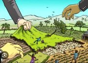 Bentrokan Mamput-Kapuas, Koalisi Masyarakat Adat: Hentikan Kriminalisasi Warga dalam Sengketa Tambang